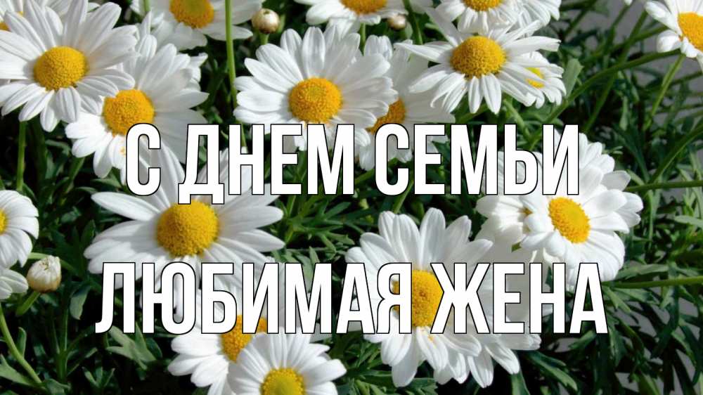 Открытка на каждый день с именем, ЛЮБИМАЯ-ЖЕНА С днем семьи с днем семьи Прикольная открытка с пожеланием онлайн скачать бесплатно 