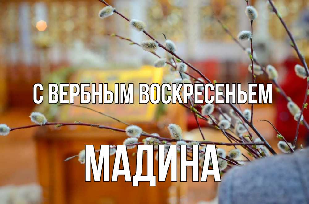 Открытка на каждый день с именем, Мадина С вербным воскресеньем верба Прикольная открытка с пожеланием онлайн скачать бесплатно 