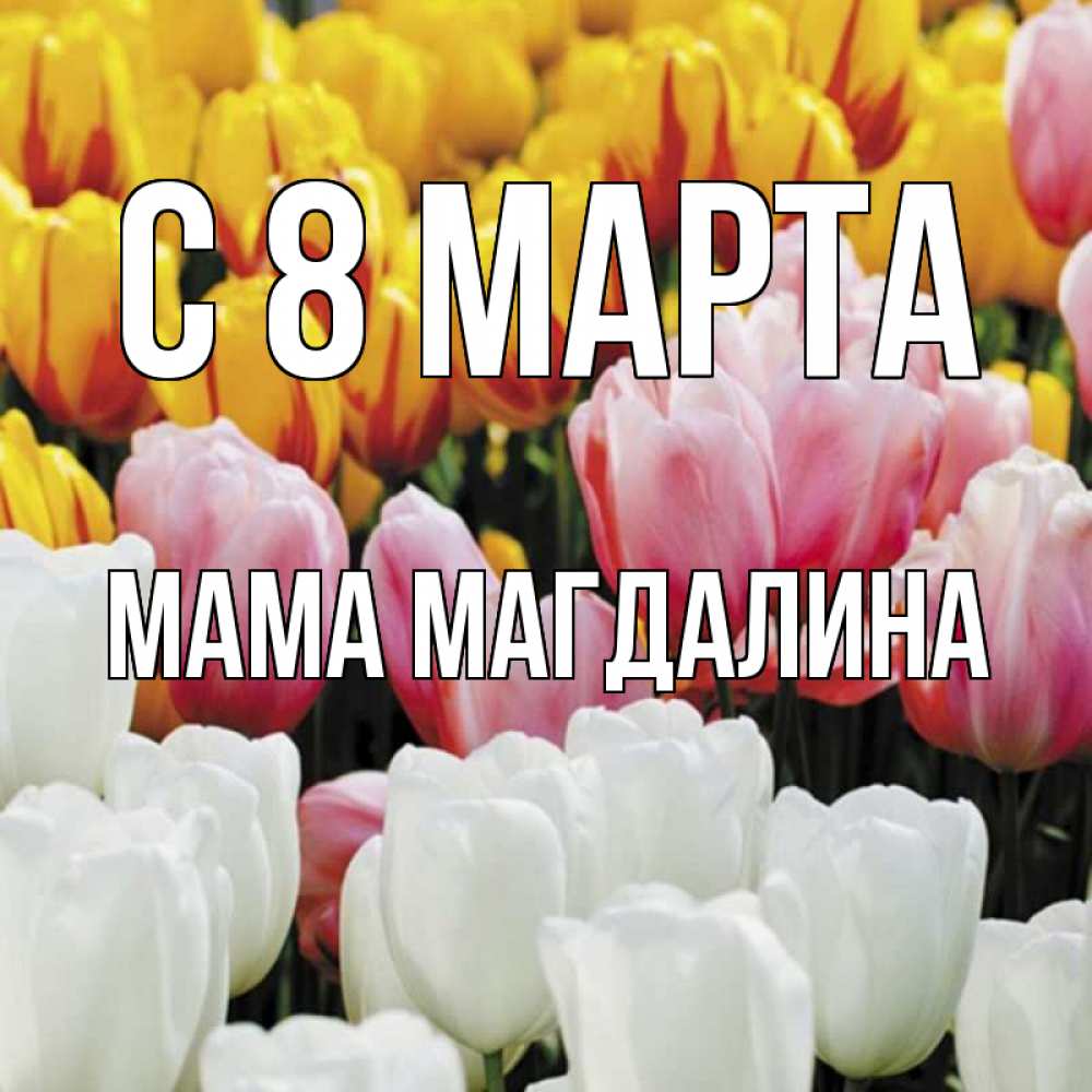 Открытка на каждый день с именем, Мама-Магдалина С 8 марта разноцветные цветы Прикольная открытка с пожеланием онлайн скачать бесплатно 