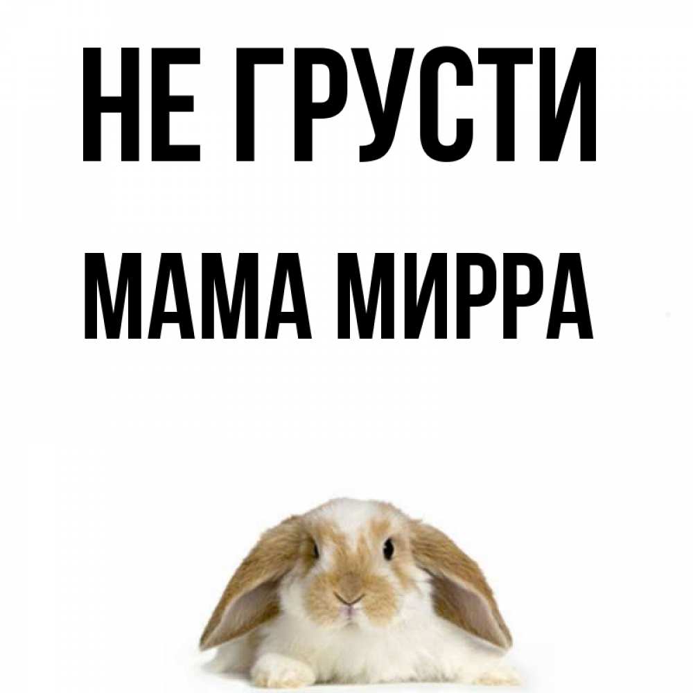 Открытка на каждый день с именем, Мама-Мирра Не грусти коричнево белый заяц с большими ушками Прикольная открытка с пожеланием онлайн скачать бесплатно 