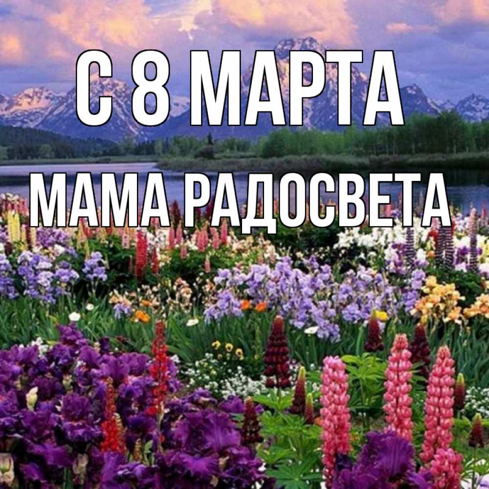 Открытка на каждый день с именем, Мама-Радосвета С 8 МАРТА международный женский день Прикольная открытка с пожеланием онлайн скачать бесплатно 