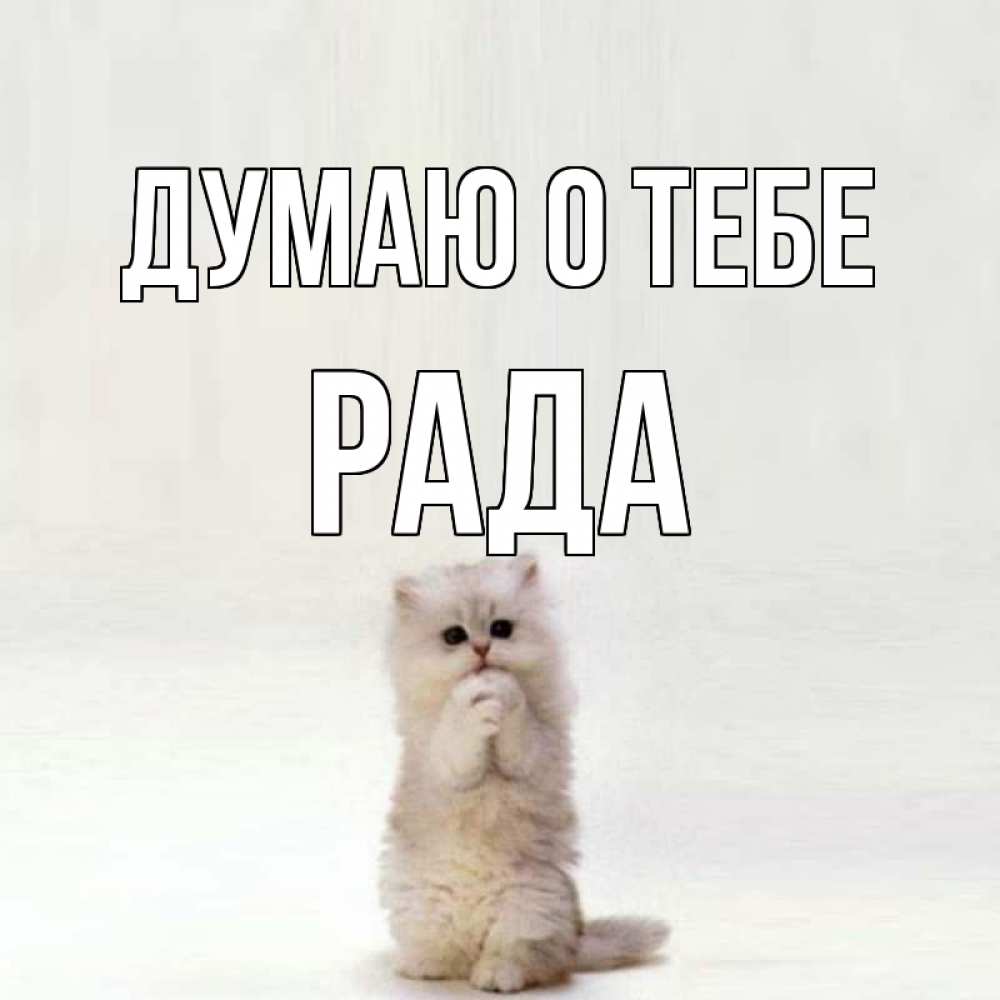 Открытка на каждый день с именем, Рада Думаю о тебе кот стоит на задних лапах Прикольная открытка с пожеланием онлайн скачать бесплатно 