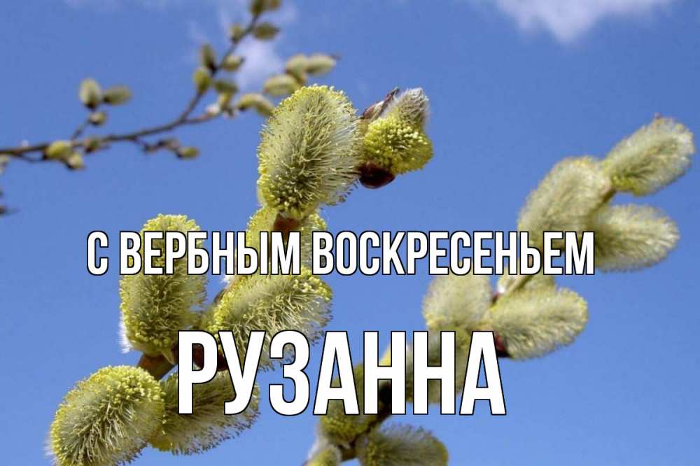 Открытка на каждый день с именем, Рузанна С вербным воскресеньем верба Прикольная открытка с пожеланием онлайн скачать бесплатно 