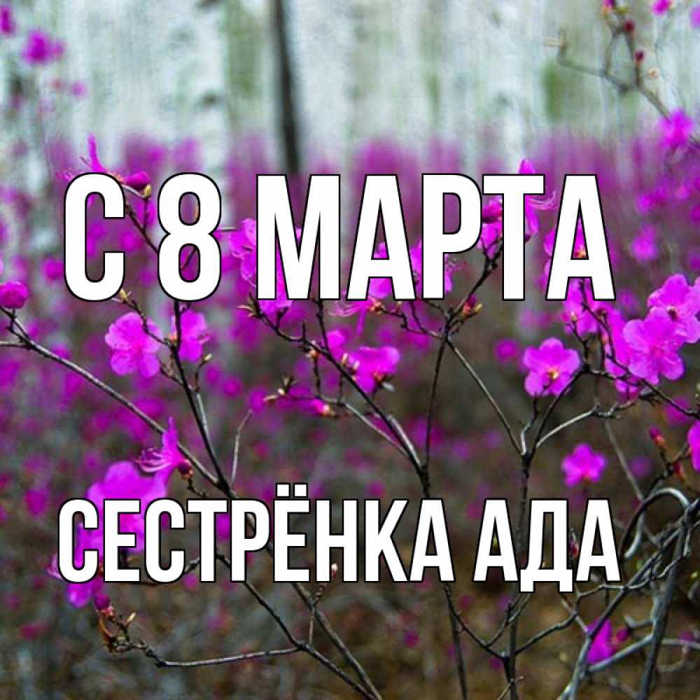 Открытка на каждый день с именем, Сестрёнка-Ада С 8 МАРТА дикие цветы Прикольная открытка с пожеланием онлайн скачать бесплатно 