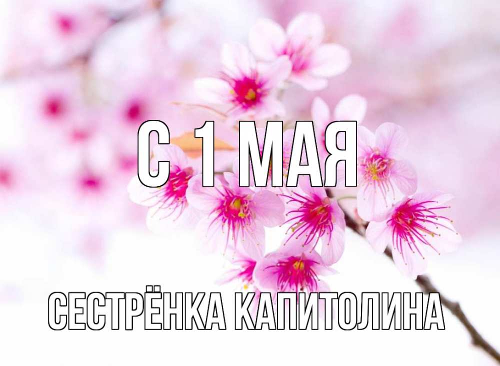 Открытка на каждый день с именем, Сестрёнка-Капитолина С 1 мая С 1 мая 2 Прикольная открытка с пожеланием онлайн скачать бесплатно 