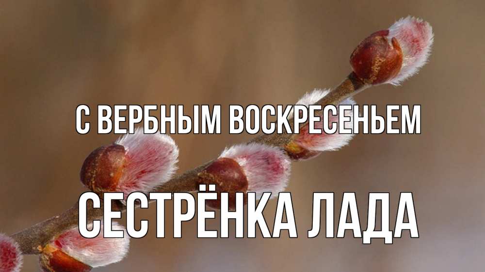 Открытка на каждый день с именем, Сестрёнка-Лада С вербным воскресеньем верба Прикольная открытка с пожеланием онлайн скачать бесплатно 