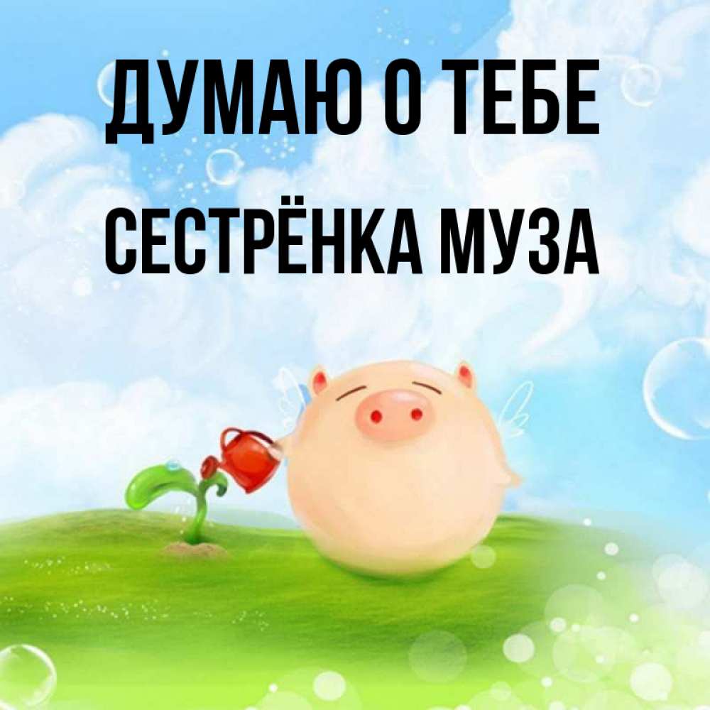 Открытка на каждый день с именем, Сестрёнка-Муза Думаю о тебе позитивная свинюшка Прикольная открытка с пожеланием онлайн скачать бесплатно 