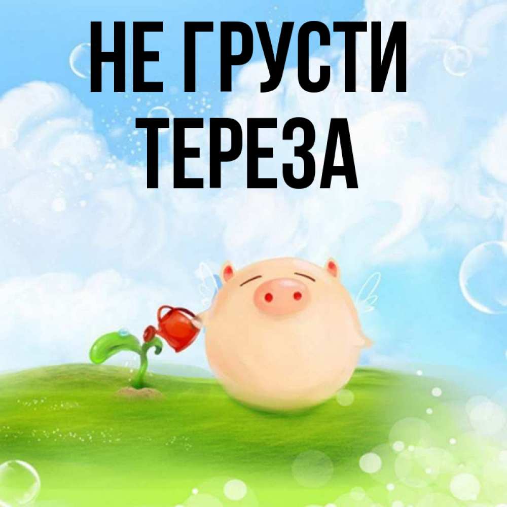 Открытка на каждый день с именем, Тереза Не грусти поливает цветок порося Прикольная открытка с пожеланием онлайн скачать бесплатно 