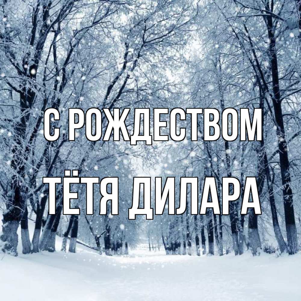 Открытка на каждый день с именем, Тётя-Дилара С рождеством снег, лес, парк Прикольная открытка с пожеланием онлайн скачать бесплатно 