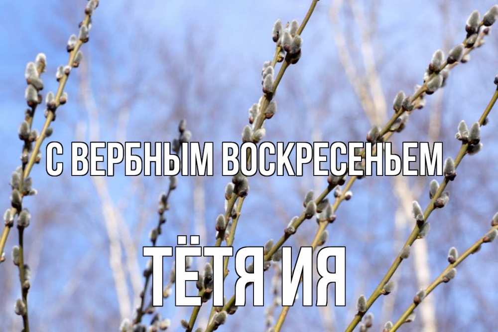 Открытка на каждый день с именем, Тётя-Ия С вербным воскресеньем верба Прикольная открытка с пожеланием онлайн скачать бесплатно 