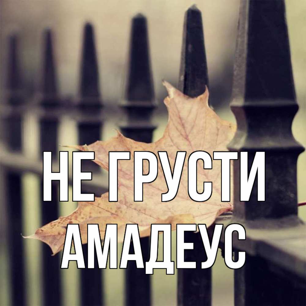 Открытка на каждый день с именем, Амадеус Не грусти лист клена Прикольная открытка с пожеланием онлайн скачать бесплатно 