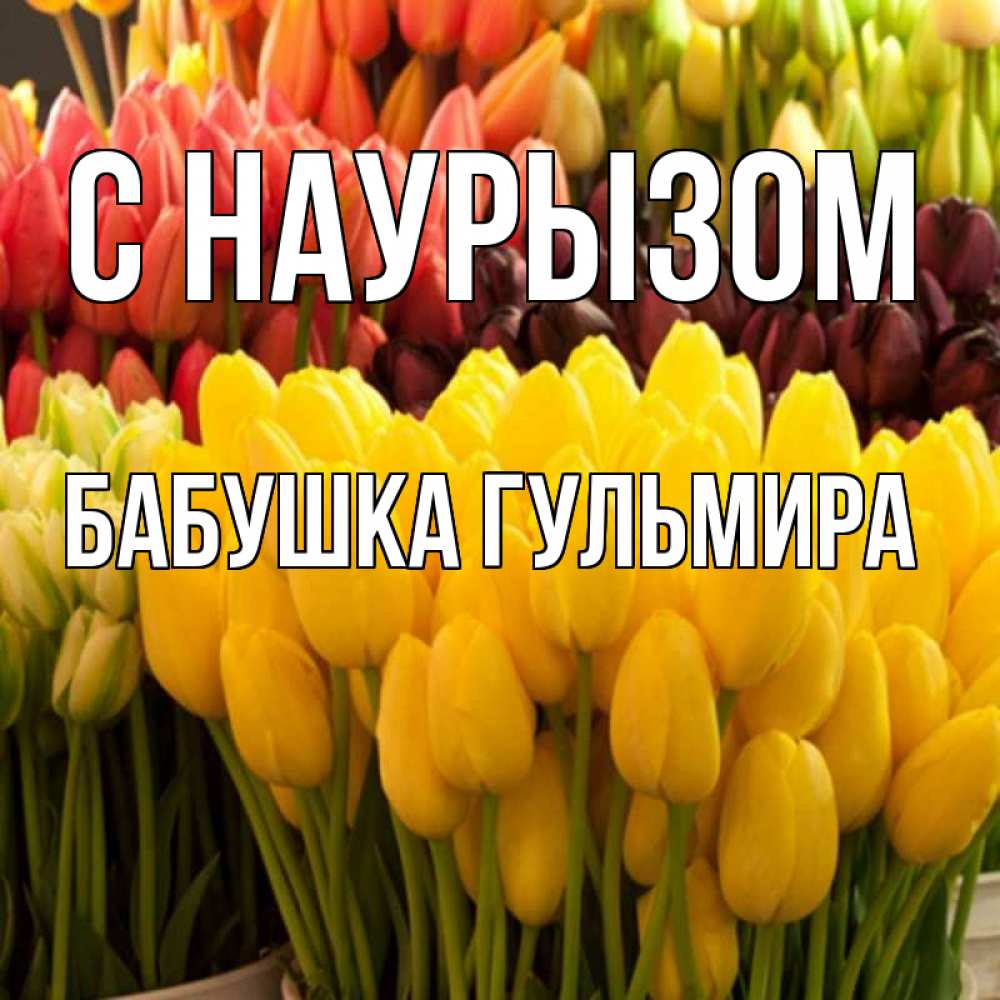 Открытка на каждый день с именем, Бабушка-Гульмира С наурызом цветы Прикольная открытка с пожеланием онлайн скачать бесплатно 