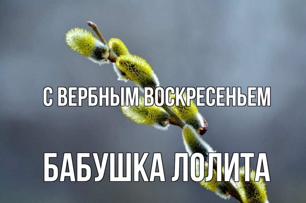 Открытка на каждый день с именем, Бабушка-Лолита С вербным воскресеньем верба Прикольная открытка с пожеланием онлайн скачать бесплатно 
