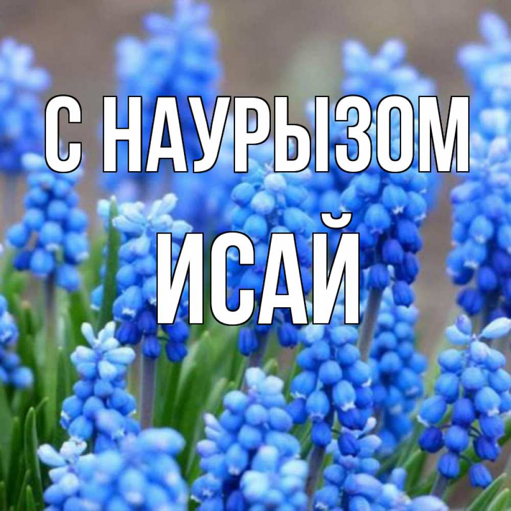 Открытка на каждый день с именем, Исай С наурызом Поздравительная открытка для женщин с цветами на праздничную дату Прикольная открытка с пожеланием онлайн скачать бесплатно 
