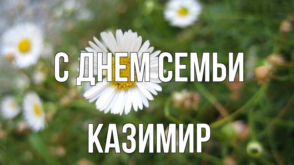 Открытка на каждый день с именем, Казимир С днем семьи с днем семьи Прикольная открытка с пожеланием онлайн скачать бесплатно 