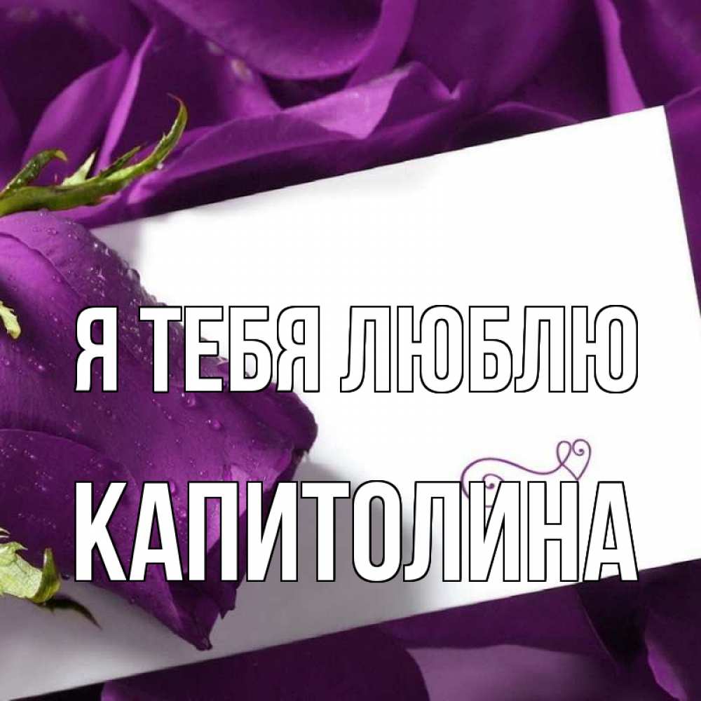 Открытка на каждый день с именем, Капитолина Я тебя люблю роза Прикольная открытка с пожеланием онлайн скачать бесплатно 