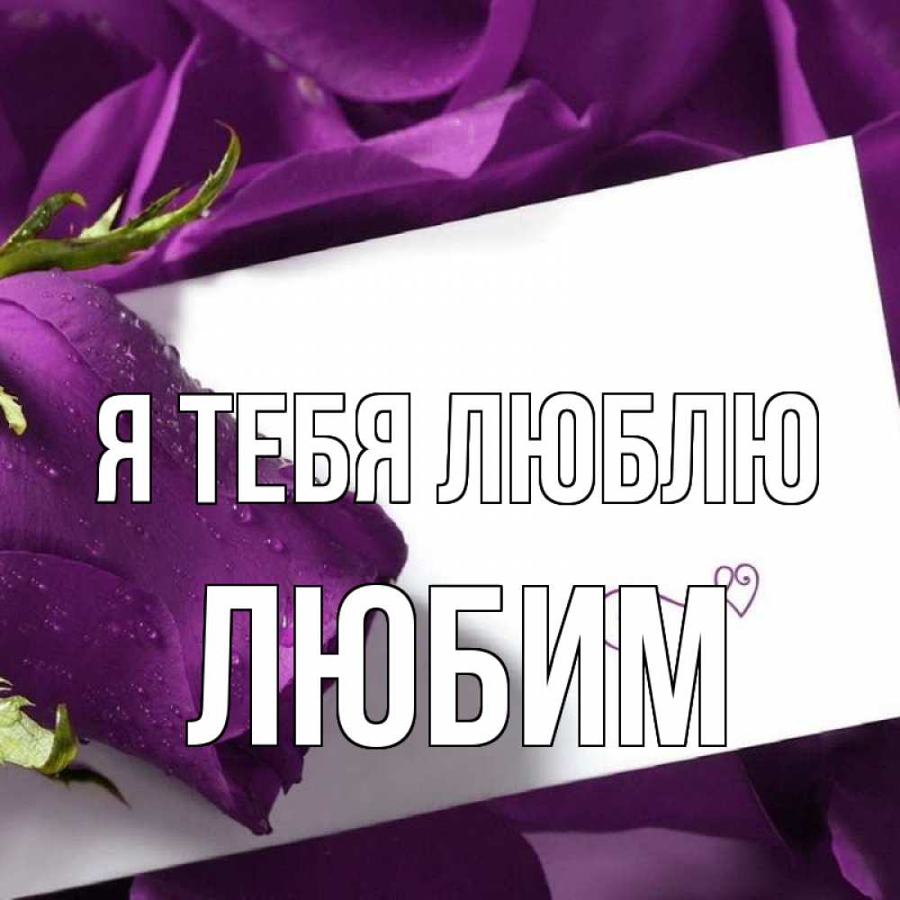 Открытка на каждый день с именем, Любим Я тебя люблю роза Прикольная открытка с пожеланием онлайн скачать бесплатно 