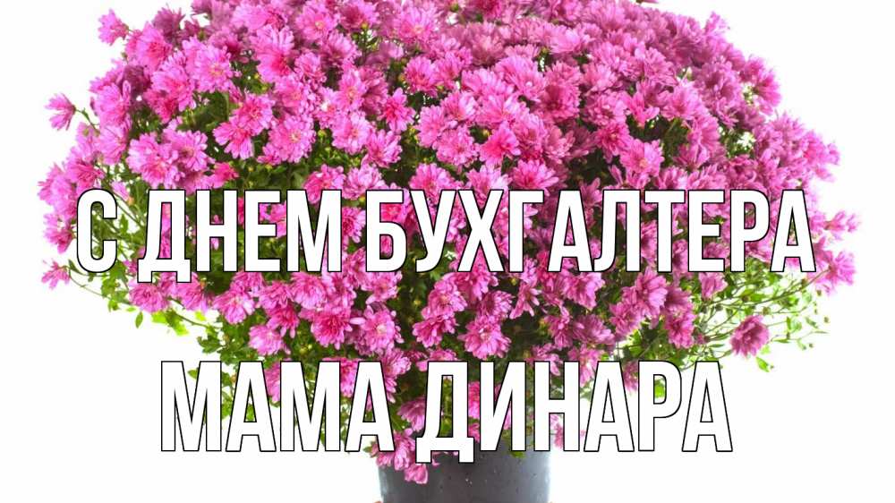 Открытка на каждый день с именем, Мама-Динара С днем бухгалтера с днем бухгалтера Прикольная открытка с пожеланием онлайн скачать бесплатно 