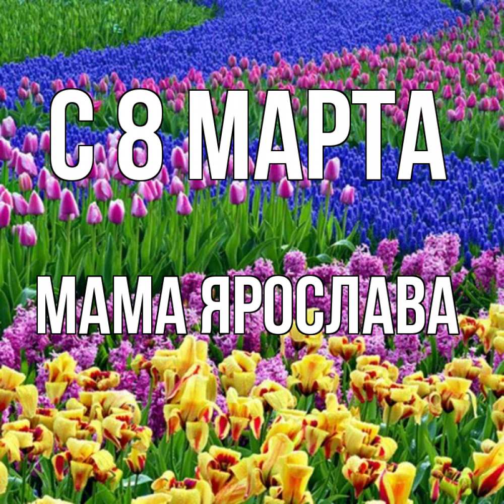 Открытка на каждый день с именем, Мама-Ярослава С 8 марта цветы Прикольная открытка с пожеланием онлайн скачать бесплатно 