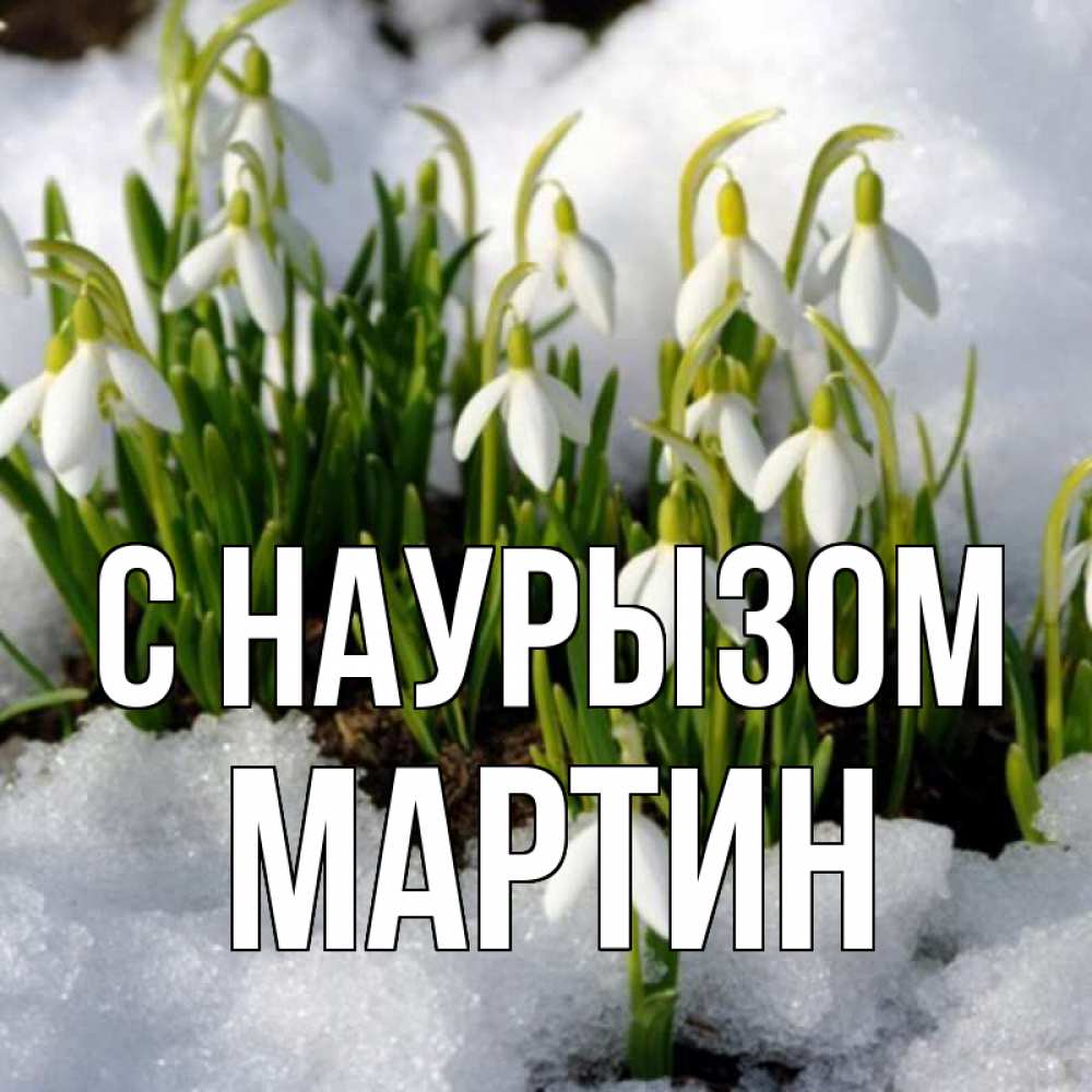 Открытка на каждый день с именем, Мартин С наурызом цветы весенние Прикольная открытка с пожеланием онлайн скачать бесплатно 