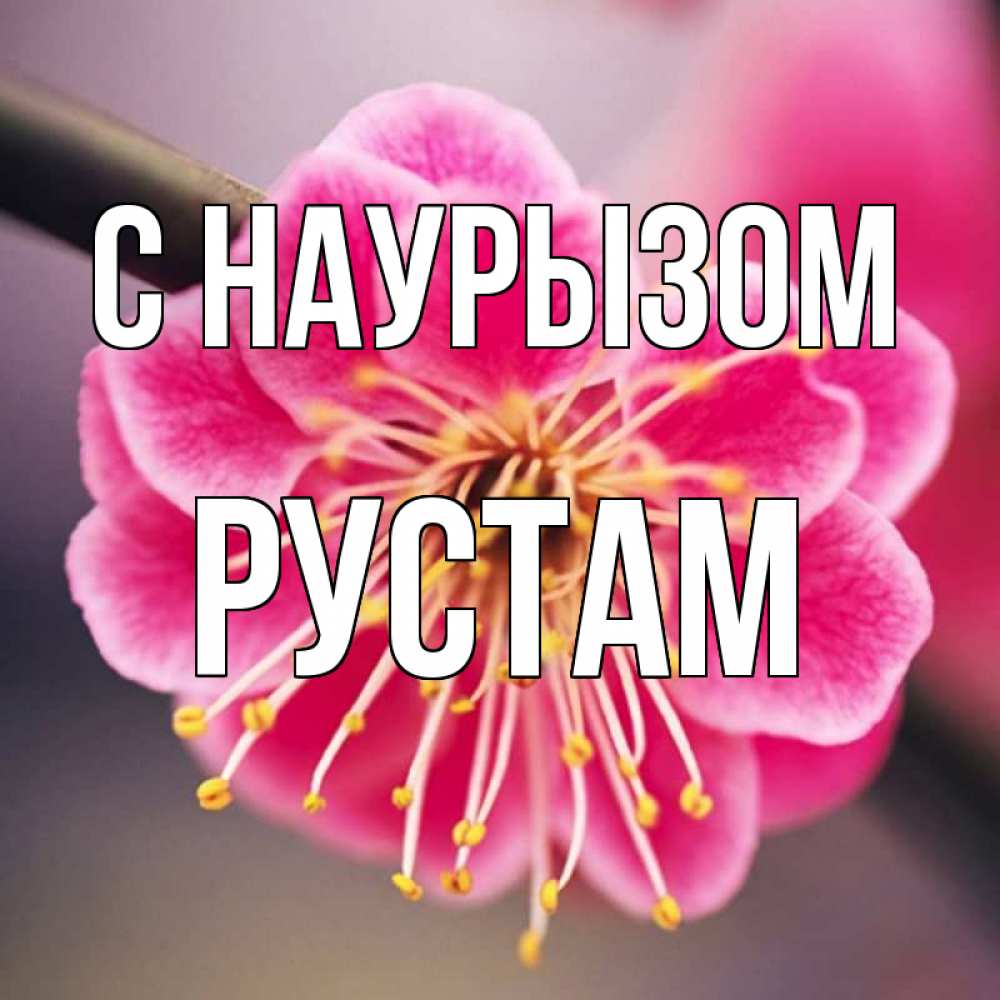 Открытка на каждый день с именем, Рустам С наурызом цветы Прикольная открытка с пожеланием онлайн скачать бесплатно 