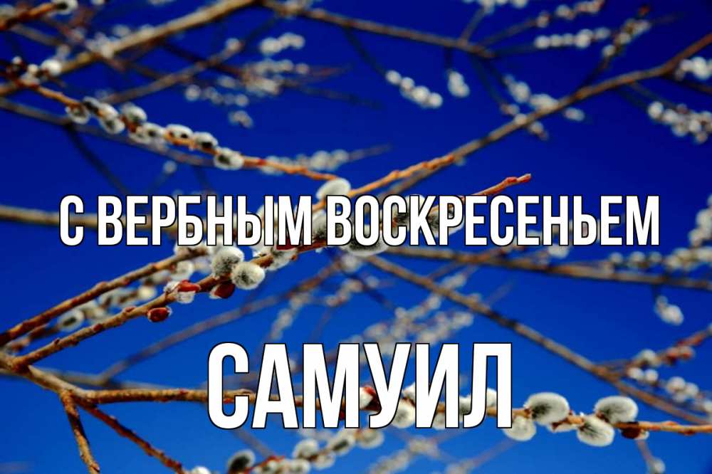Открытка на каждый день с именем, Самуил С вербным воскресеньем верба Прикольная открытка с пожеланием онлайн скачать бесплатно 