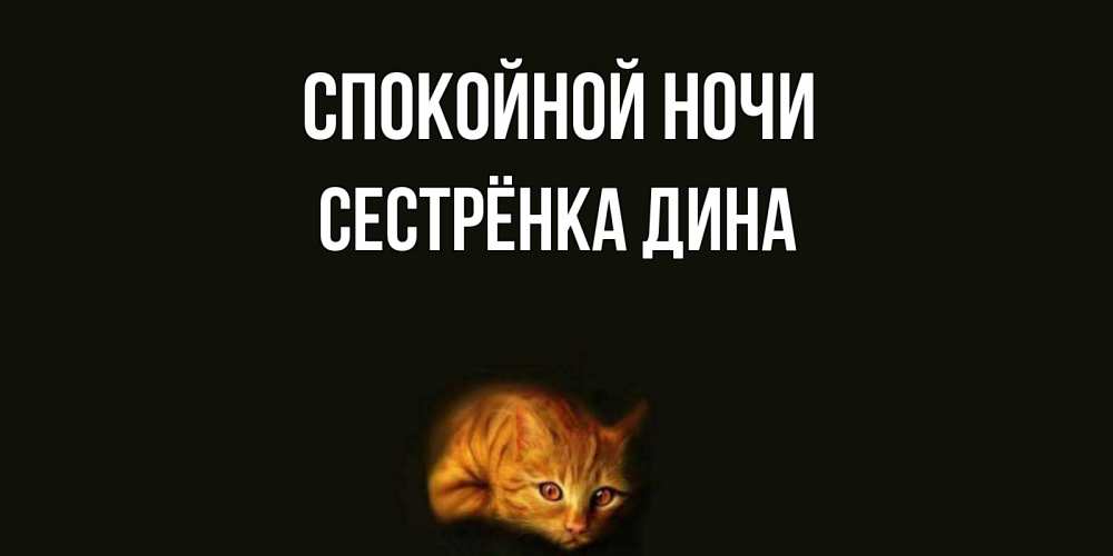Открытка на каждый день с именем, Сестрёнка-Дина Спокойной ночи кот Прикольная открытка с пожеланием онлайн скачать бесплатно 