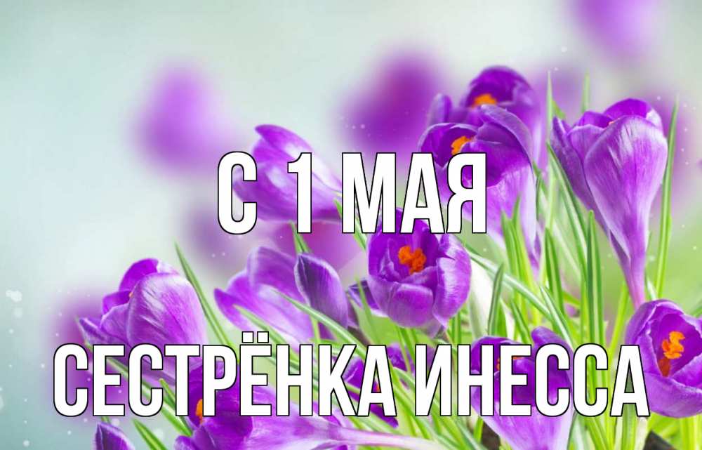 Открытка на каждый день с именем, Сестрёнка-Инесса С 1 мая 1 мая Прикольная открытка с пожеланием онлайн скачать бесплатно 