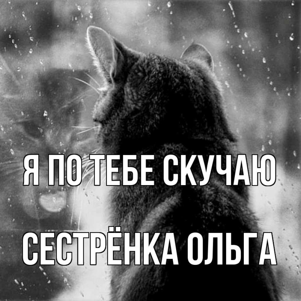 Открытка на каждый день с именем, Сестрёнка-Ольга Я по тебе скучаю скорее ко мне приходи 1 Прикольная открытка с пожеланием онлайн скачать бесплатно 