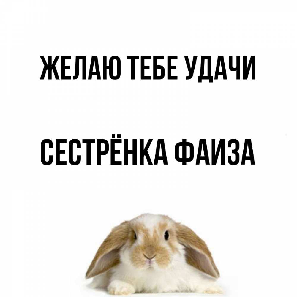 Открытка на каждый день с именем, Сестрёнка-Фаиза Желаю тебе удачи открытки с произвольным текстом который можно вставить в открытку и создать ее самостоятельно бесплатно онлайн Прикольная открытка с пожеланием онлайн скачать бесплатно 
