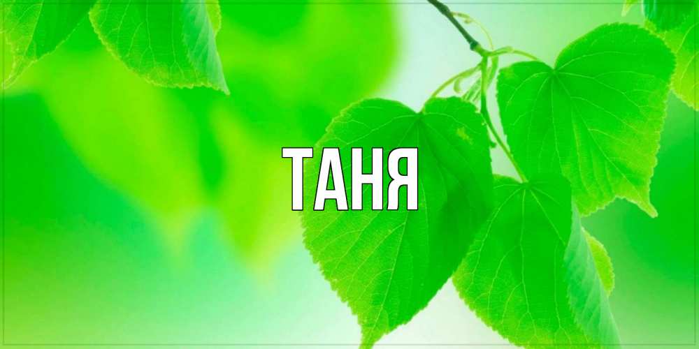 Открытка на каждый день с именем, Таня Главная доброе утро с березовыми листьями Прикольная открытка с пожеланием онлайн скачать бесплатно 