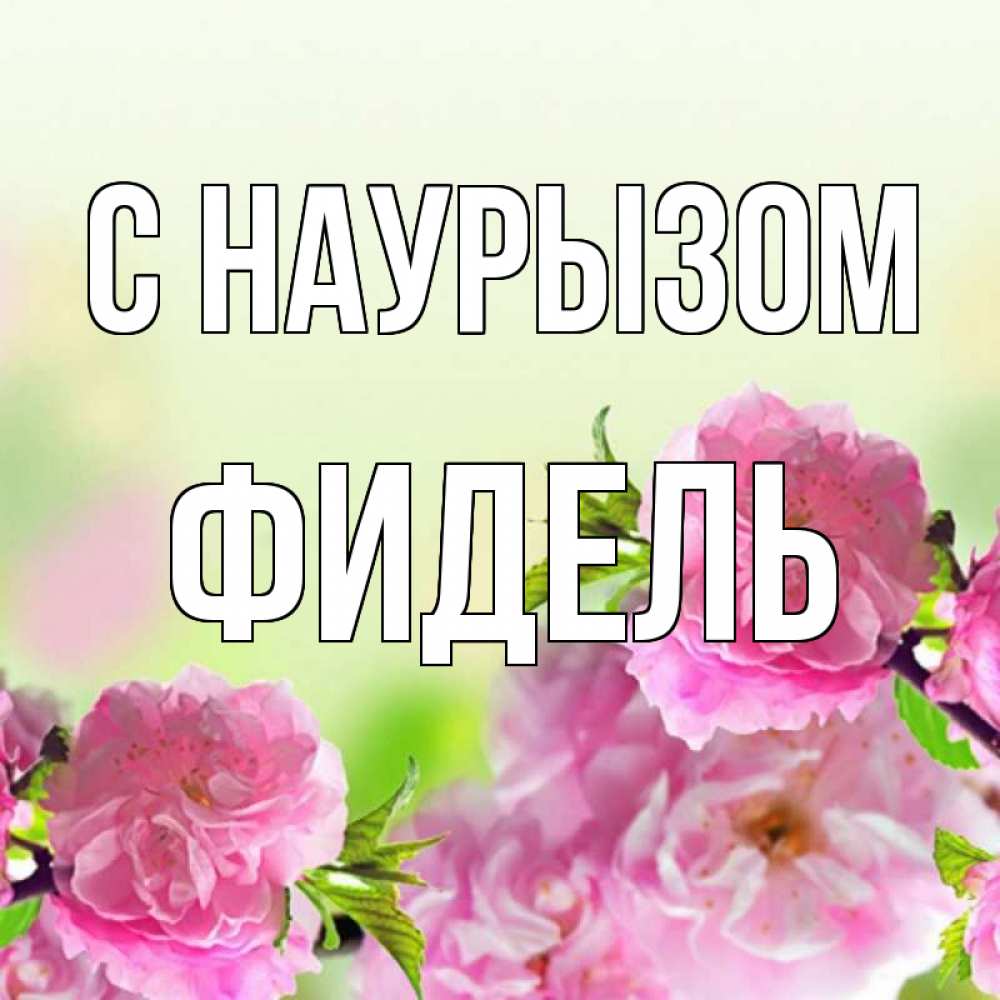 Открытка на каждый день с именем, Фидель С наурызом цветы Прикольная открытка с пожеланием онлайн скачать бесплатно 