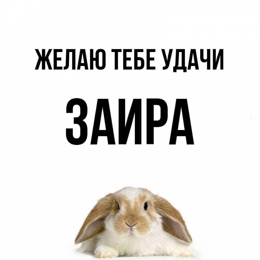 Картинки С Днем Рождения Заира