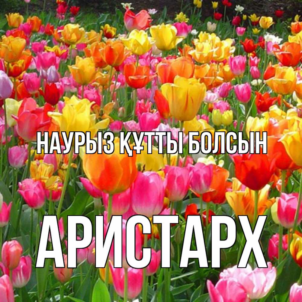 Открытка на каждый день с именем, Аристарх Наурыз құтты болсын на наурыз  ура ура Прикольная открытка с пожеланием онлайн скачать бесплатно 
