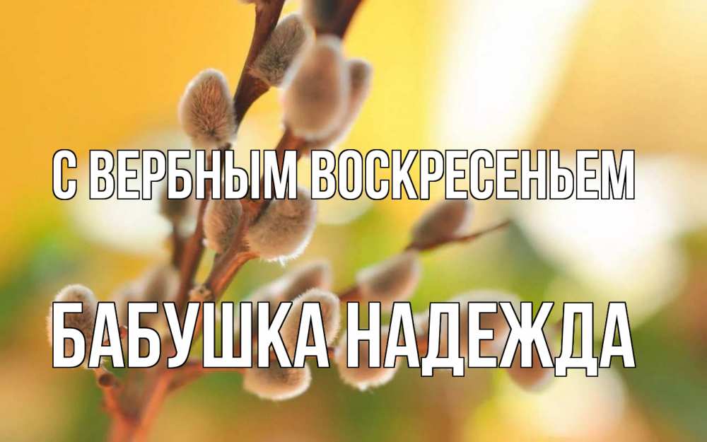 Открытка на каждый день с именем, Бабушка-Надежда С вербным воскресеньем верба Прикольная открытка с пожеланием онлайн скачать бесплатно 