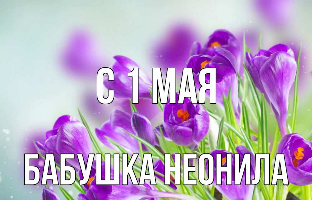 Открытка на каждый день с именем, Бабушка-Неонила С 1 мая 1 мая Прикольная открытка с пожеланием онлайн скачать бесплатно 