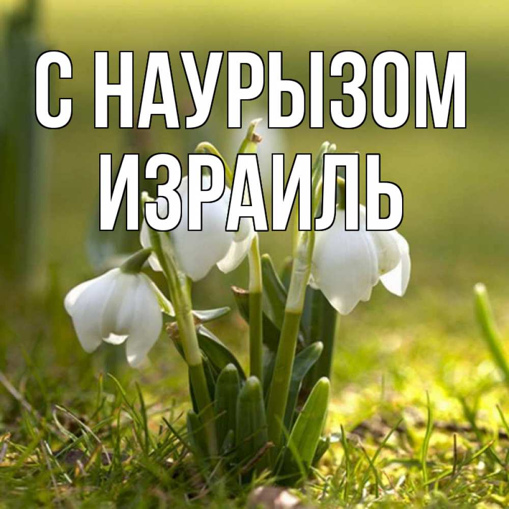Открытка на каждый день с именем, Израиль С наурызом ранние цветы 2 Прикольная открытка с пожеланием онлайн скачать бесплатно 
