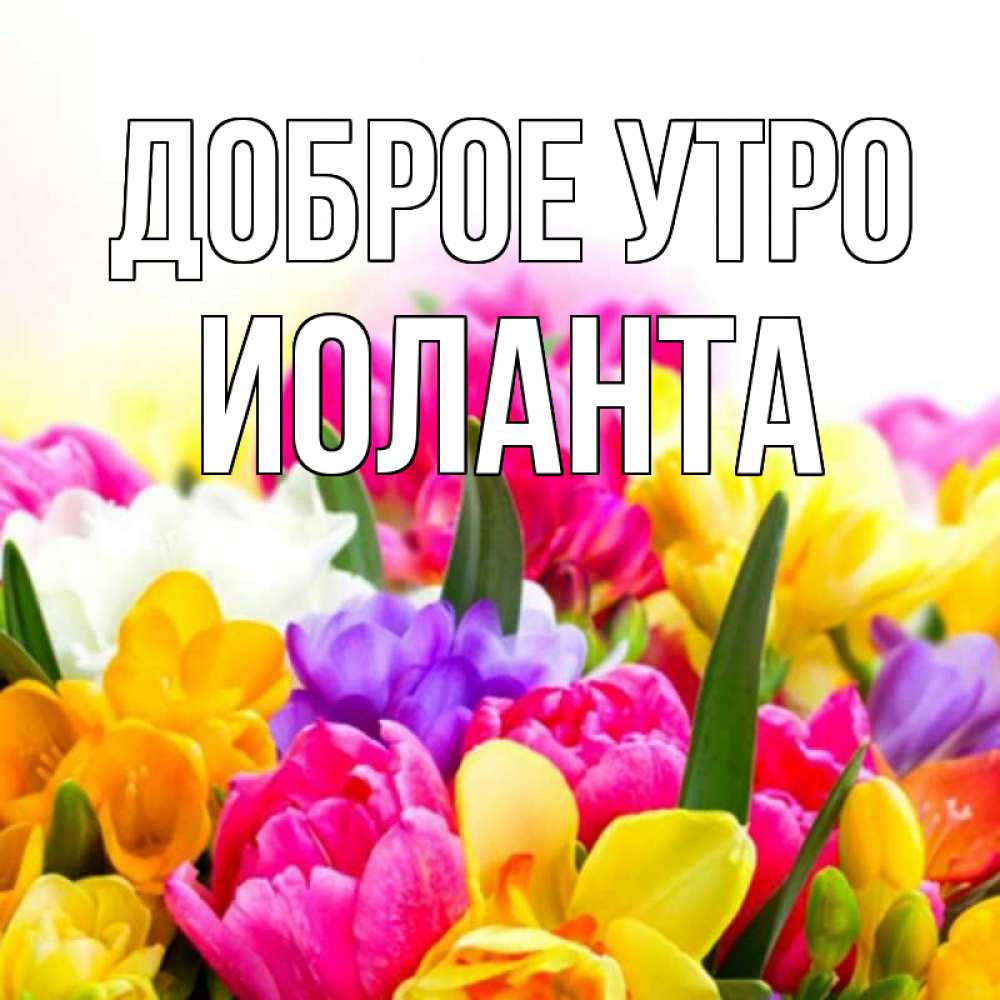 Открытка на каждый день с именем, Иоланта Доброе утро создать открытку со свое подписью Прикольная открытка с пожеланием онлайн скачать бесплатно 