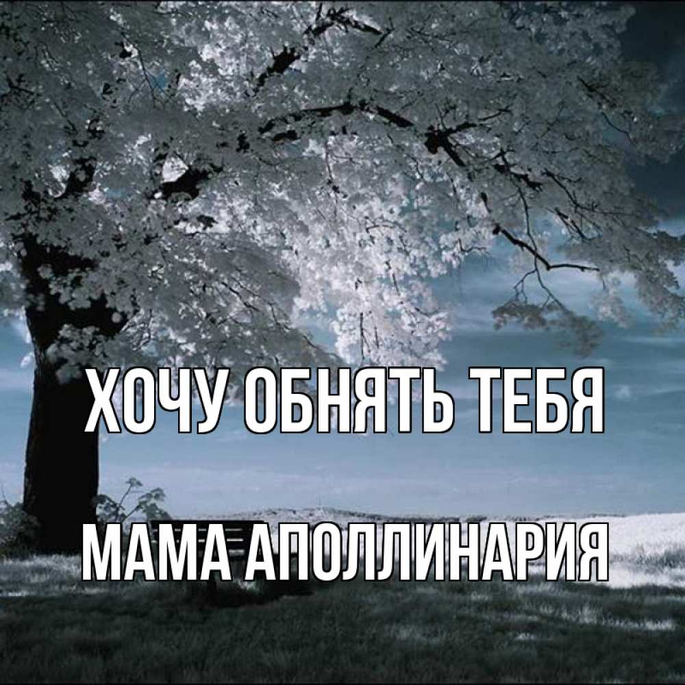 Открытка на каждый день с именем, Мама-Аполлинария Хочу обнять тебя дерево Прикольная открытка с пожеланием онлайн скачать бесплатно 