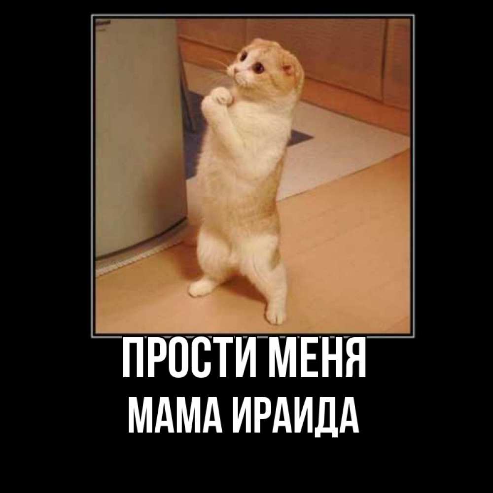 Открытка на каждый день с именем, Мама-Ираида Прости меня открытка с милым несчастным котиком просящим прощения Прикольная открытка с пожеланием онлайн скачать бесплатно 