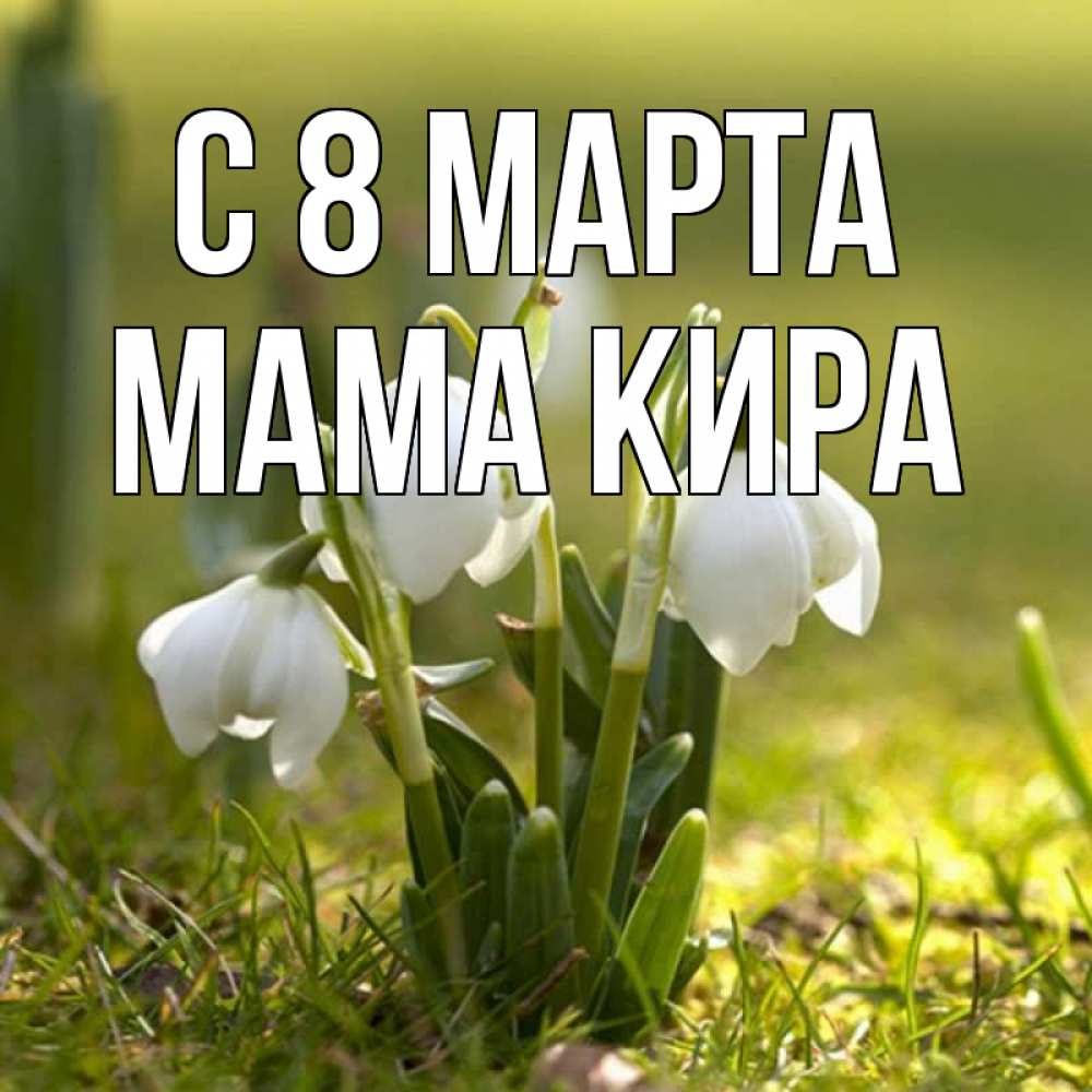 Открытка на каждый день с именем, Мама-Кира С 8 МАРТА ранние цветы 2 Прикольная открытка с пожеланием онлайн скачать бесплатно 