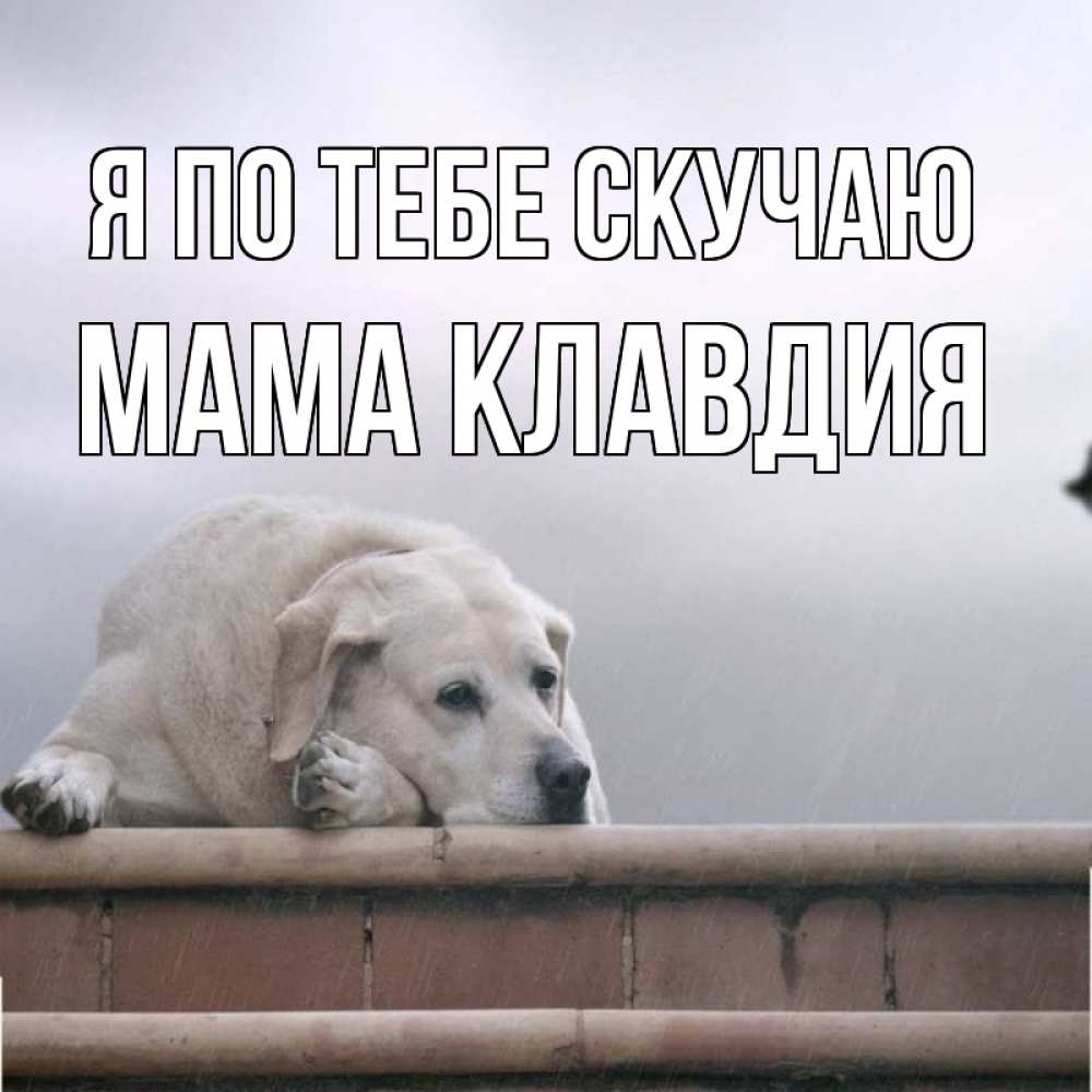 Открытка на каждый день с именем, Мама-Клавдия Я по тебе скучаю ждет Прикольная открытка с пожеланием онлайн скачать бесплатно 