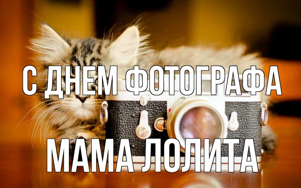 Открытка на каждый день с именем, Мама-Лолита С днем фотографа с днем фотографа Прикольная открытка с пожеланием онлайн скачать бесплатно 