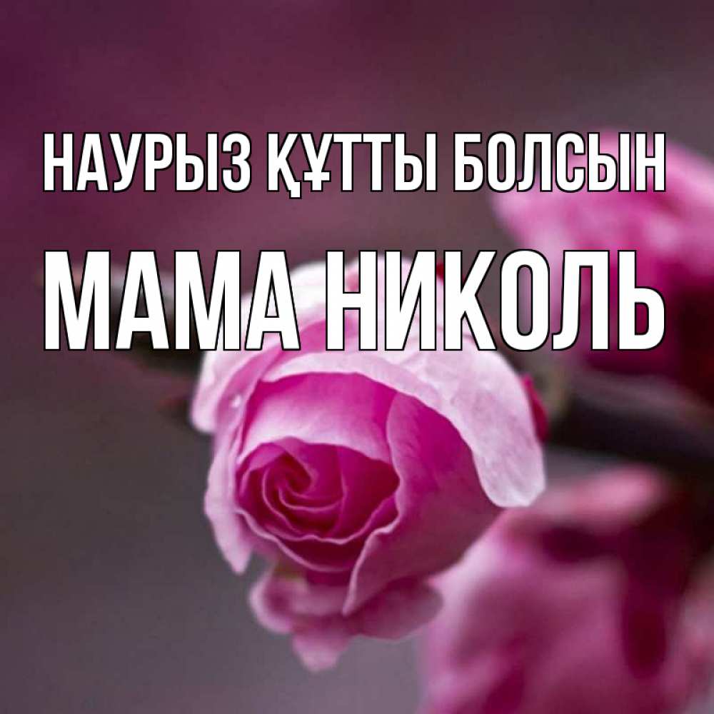 Открытка на каждый день с именем, Мама-Николь Наурыз құтты болсын весна Прикольная открытка с пожеланием онлайн скачать бесплатно 