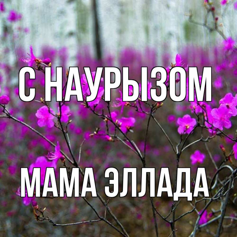 Открытка на каждый день с именем, Мама-Эллада С наурызом дикие цветы Прикольная открытка с пожеланием онлайн скачать бесплатно 