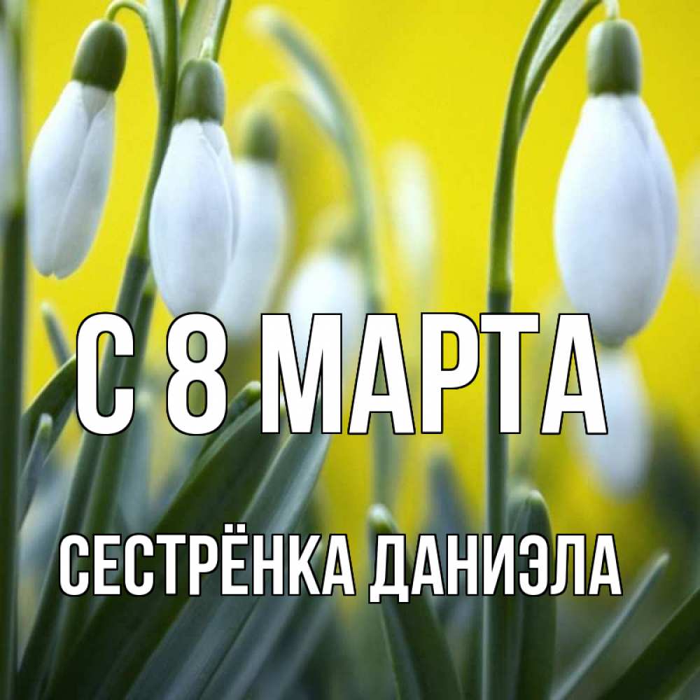 Открытка на каждый день с именем, Сестрёнка-Даниэла С 8 МАРТА весенние цветы Прикольная открытка с пожеланием онлайн скачать бесплатно 