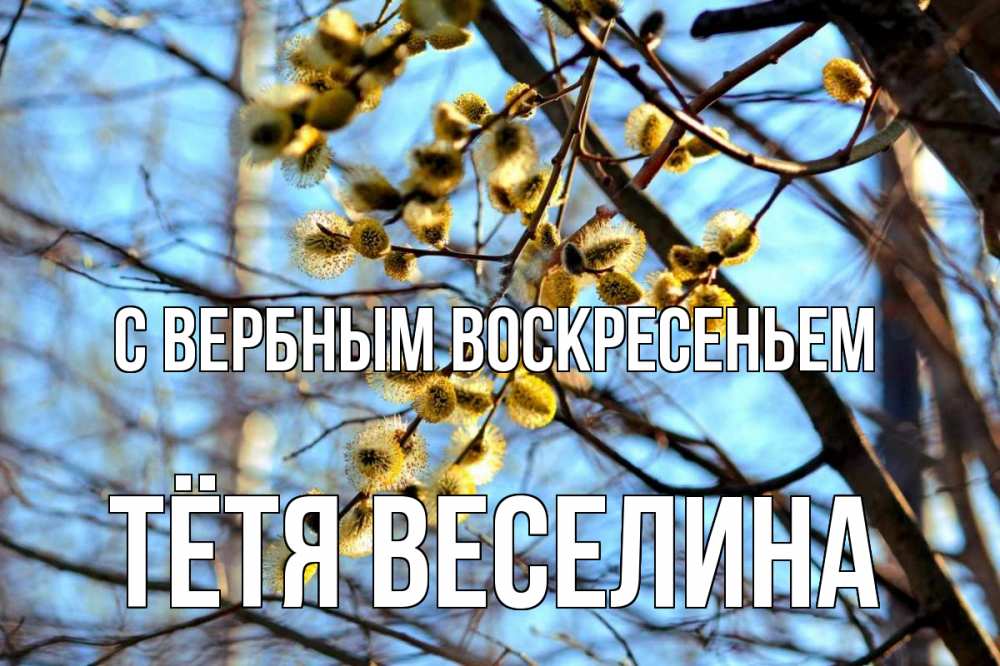 Открытка на каждый день с именем, Тётя-Веселина С вербным воскресеньем верба Прикольная открытка с пожеланием онлайн скачать бесплатно 