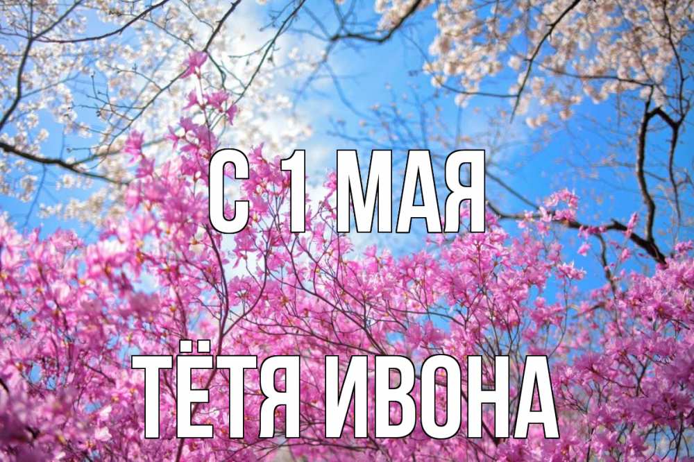 Открытка на каждый день с именем, Тётя-Ивона С 1 мая С 1 мая Прикольная открытка с пожеланием онлайн скачать бесплатно 
