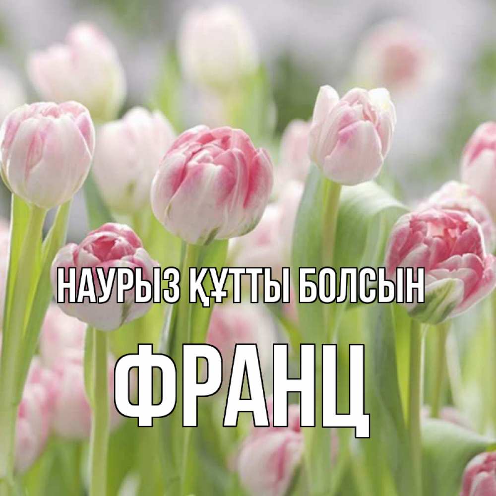 Открытка на каждый день с именем, Франц Наурыз құтты болсын цветы Прикольная открытка с пожеланием онлайн скачать бесплатно 