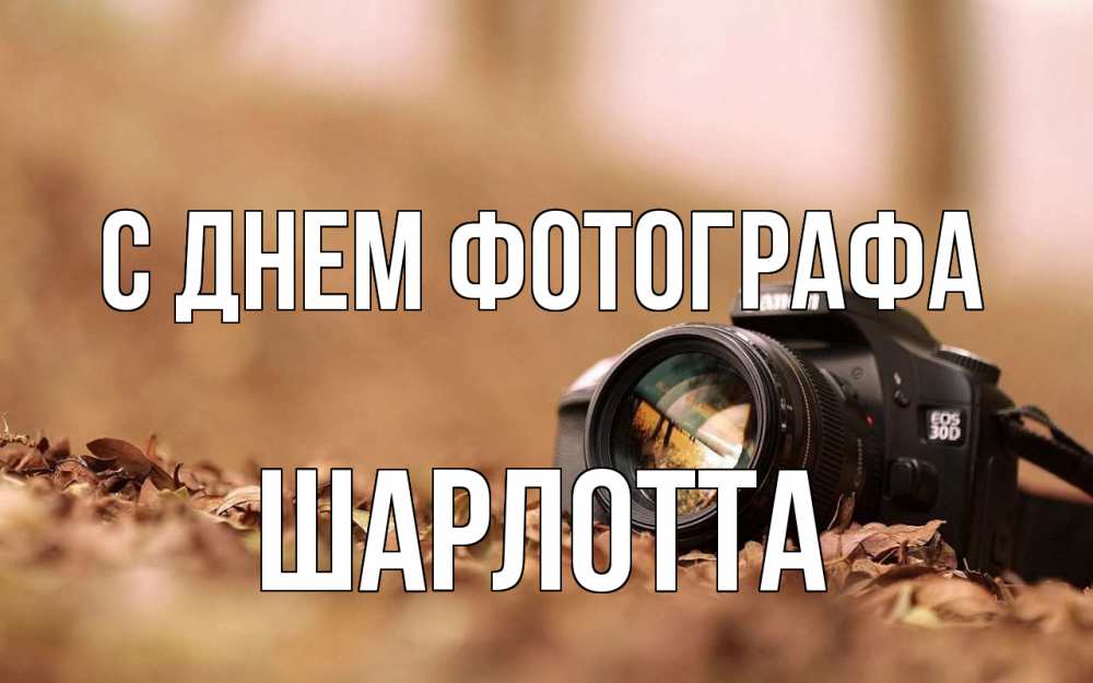 Открытка на каждый день с именем, Шарлотта С днем фотографа с днем фотографа Прикольная открытка с пожеланием онлайн скачать бесплатно 